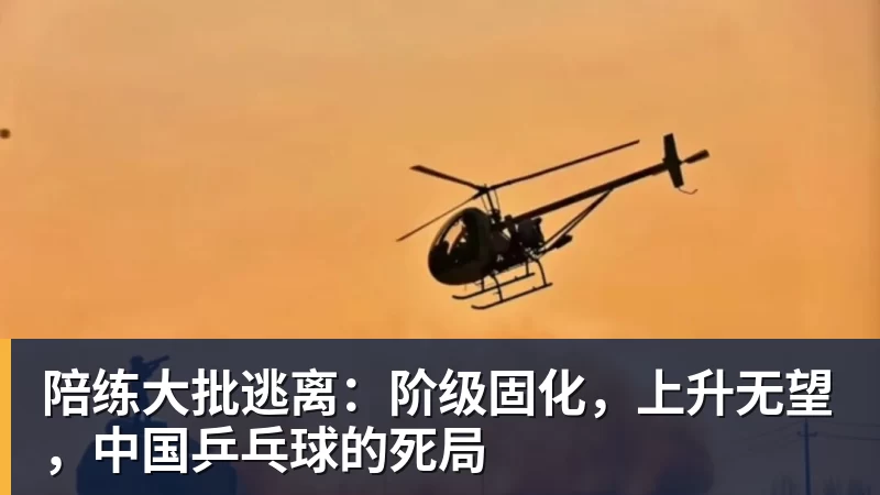 九游体育陪练大批逃离：阶级固化，上升无望，中国乒乓球的死局